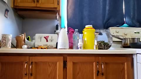 Randcandy77 online show from 14, 11, 2025