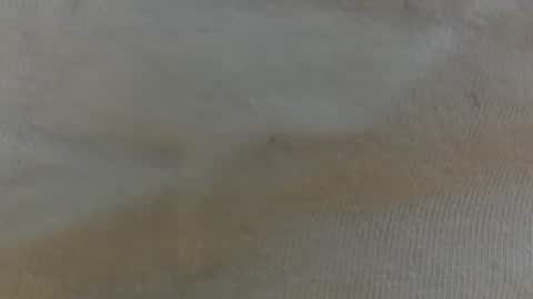 randytoy online show from 29, 6, 2026