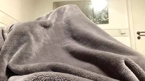 Snapshot of ranj00800 chatting on 18, 12, 2025 ranj00800 online show from 18, 12, 2025