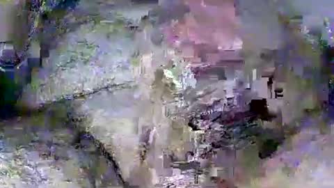 Rasit Adanali online show from 8, 3, 2026