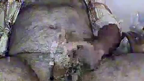 Rasit Adanali online show from 2, 4, 2026