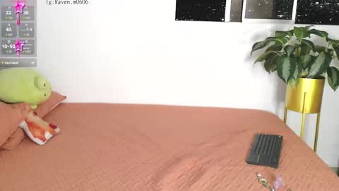 Snapshot of raven06_ chatting on 4, 11, 2025 Raven online show from 4, 11, 2025