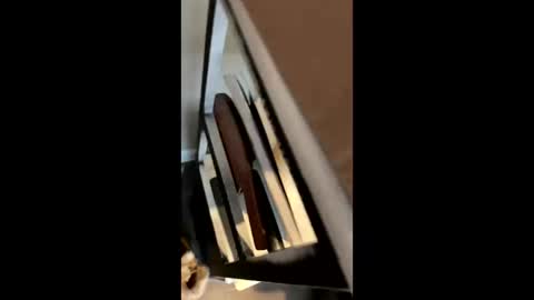 ravenxbeastie online show from 17, 2, 2025