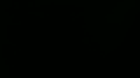 Ray online show from 1, 1, 2025