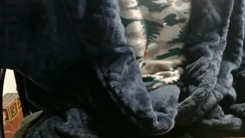 Ray online show from 7, 1, 2025