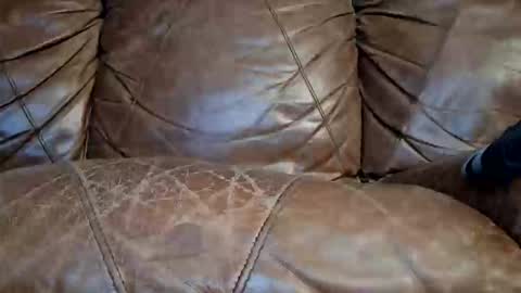 Doyle Wesley Coody III online show from 15, 1, 2026