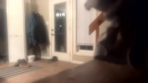 Snapshot of rdyforitall chatting on 10, 12, 2024 Mr Nice online show from 10, 12, 2024