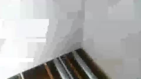 Snapshot of rdyforitall chatting on 6, 1, 2025 Mr Nice online show from 6, 1, 2025