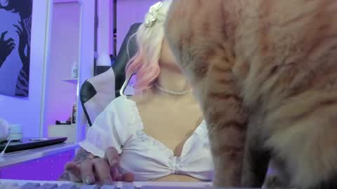 Rea    online show from 4, 4, 2026