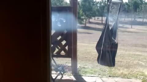 ready4aride2day online show from 18, 2, 2026