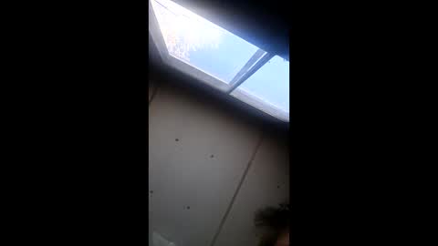 realisararebreed online show from 21, 12, 2025