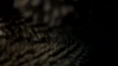 Snapshot of realmanz chatting on 8, 1, 2025 realmanz online show from 8, 1, 2025