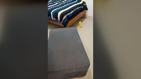 SexyFlacko online show from 14, 7, 2026