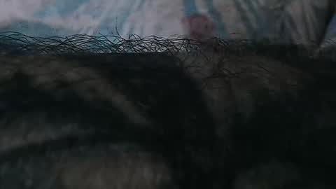 realrubpirate online show from 8, 3, 2026