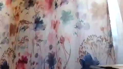 Snapshot of recka810 chatting on 20, 2, 2025 recka810 online show from 20, 2, 2025