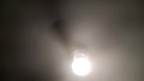 red24devils online show from 8, 1, 2025