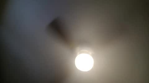 red24devils online show from 13, 1, 2025