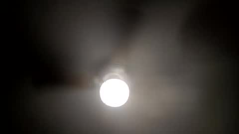 red24devils online show from 15, 1, 2025