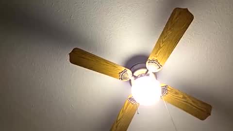 red24devils online show from 26, 10, 2025