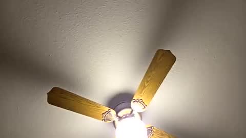 red24devils online show from 5, 3, 2026