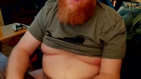 red_sea_bear online show from 14, 2, 2026