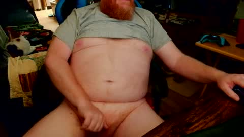 red_sea_bear online show from 11, 7, 2026