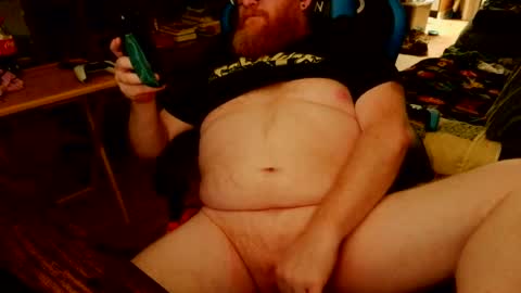 red_sea_bear online show from 26, 7, 2026