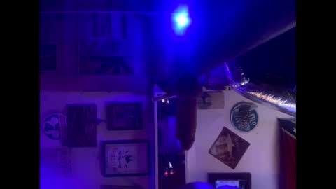 Lee online show from 5, 10, 2025