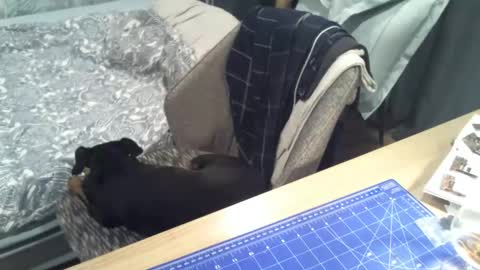 Snapshot of reunionussr chatting on 16, 11, 2025 reunionussr online show from 16, 11, 2025