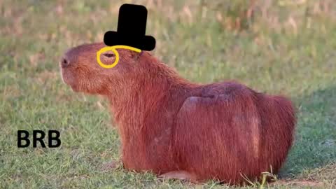 Chris online show from 16, 1, 2026