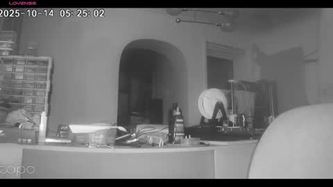 reza240782 online show from 14, 10, 2025