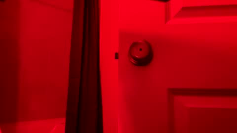 Snapshot of rgbtx86 chatting on 8, 10, 2025 Ryan Gold online show from 8, 10, 2025