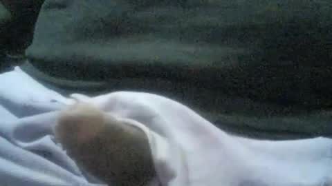 ricardo160291 online show from 6, 1, 2025