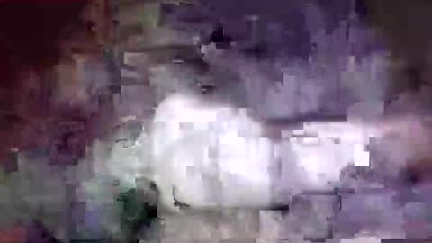 richard11268869 online show from 24, 12, 2024