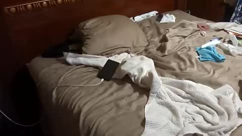 richie_j online show from 28, 3, 2026