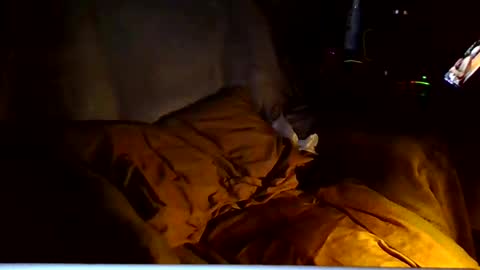 Snapshot of ricks4fun chatting on 6, 3, 2026 PINK HOLE TWINK online show from 6, 3, 2026