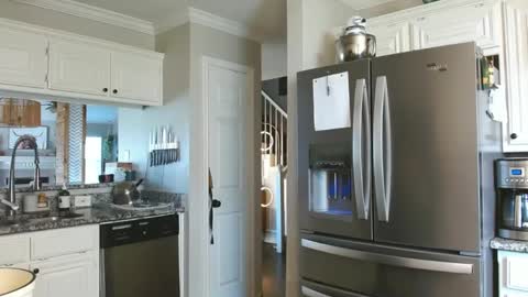 riley depp online show from 17, 2, 2025