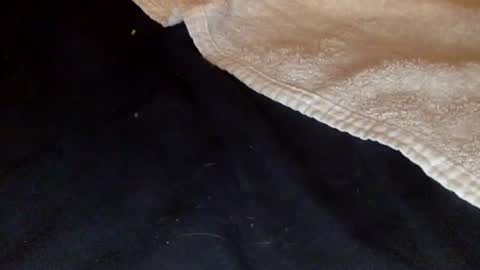 Snapshot of rimalovar chatting on 20, 12, 2025 rimalova online show from 20, 12, 2025