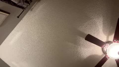 Snapshot of rluxe2676 chatting on 21, 1, 2025 BwC4Breed online show from 21, 1, 2025