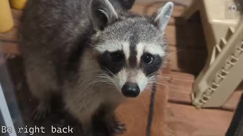 Ryan aka KeylimeRy online show from 21, 9, 2025