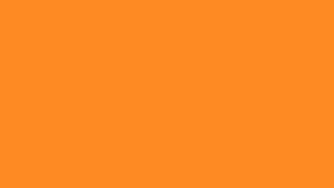 robb_strk online show from 27, 6, 2026