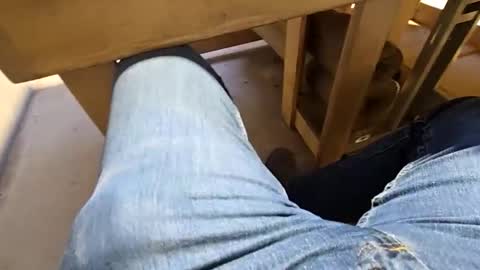 robbiebob6828 online show from 2, 3, 2026