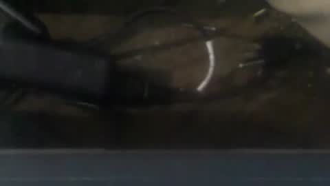 Snapshot of robincom23 chatting on 20, 12, 2024 R online show from 20, 12, 2024