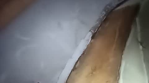 Snapshot of robincom23 chatting on 1, 10, 2025 R online show from 1, 10, 2025