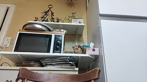 robke1966 online show from 23, 12, 2025