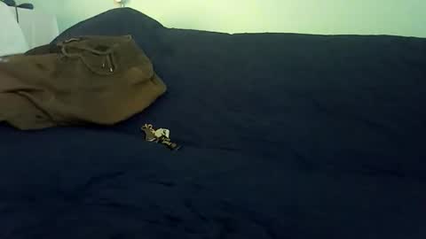 Mr. Red online show from 25, 2, 2026