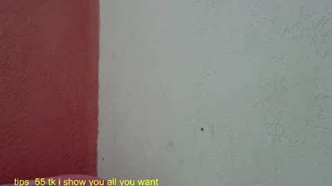 Snapshot of ronnispoto chatting on 27, 1, 2025 ronny online show from 27, 1, 2025