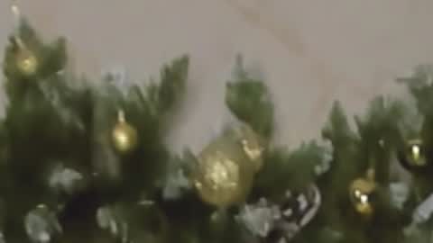 Chloe online show from 27, 12, 2024