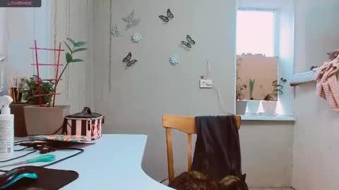 rosa843850 online show from 2, 2, 2025