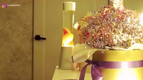 Snapshot of rosaliefetish chatting on 16, 11, 2025 Rosalie online show from 16, 11, 2025